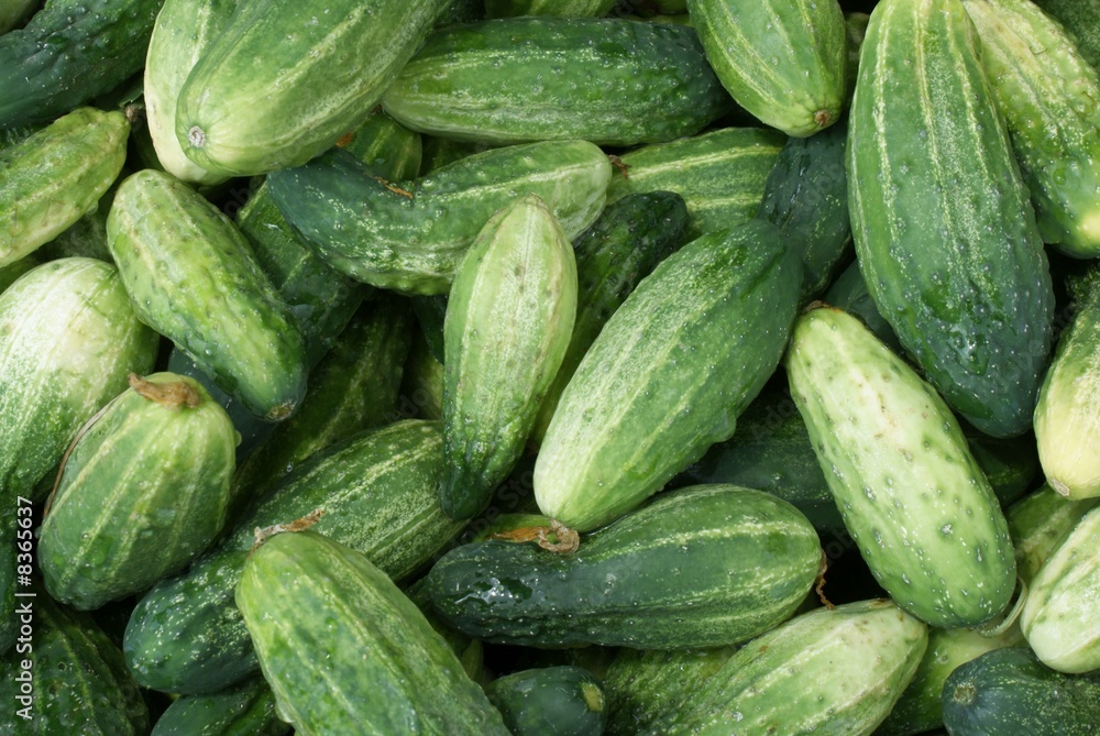green cucumbers green cucumbers