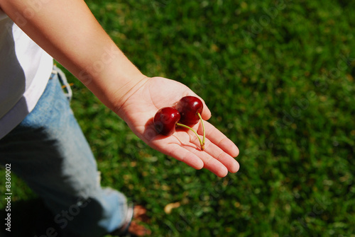 Vászonkép Cherry's in a little boy Hand