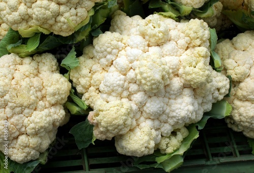 cauliflowers