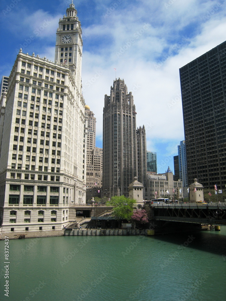 Obraz premium Chicago Downtown