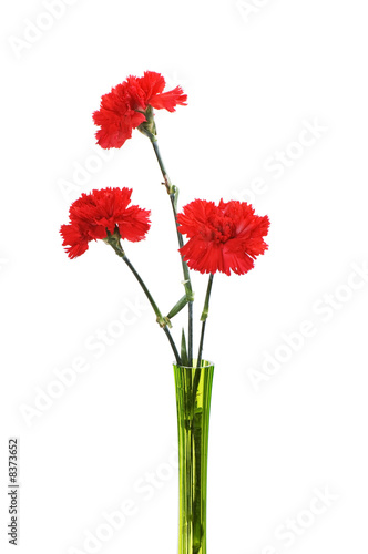 Three red carnations in green vase isolated on white