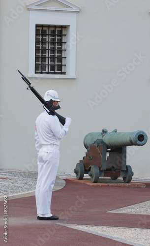 sentinel au garde a vous