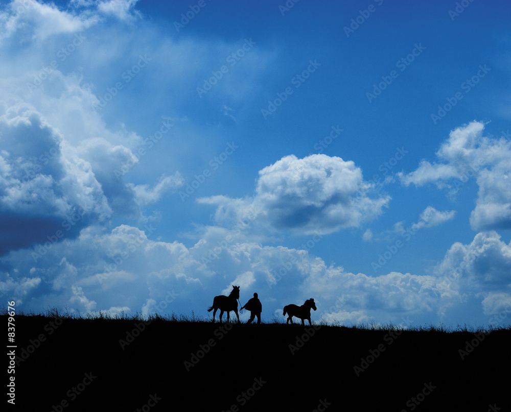Fototapeta premium Runaway horses and farmer on big clouds background