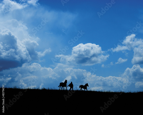 Runaway horses and farmer on big clouds background