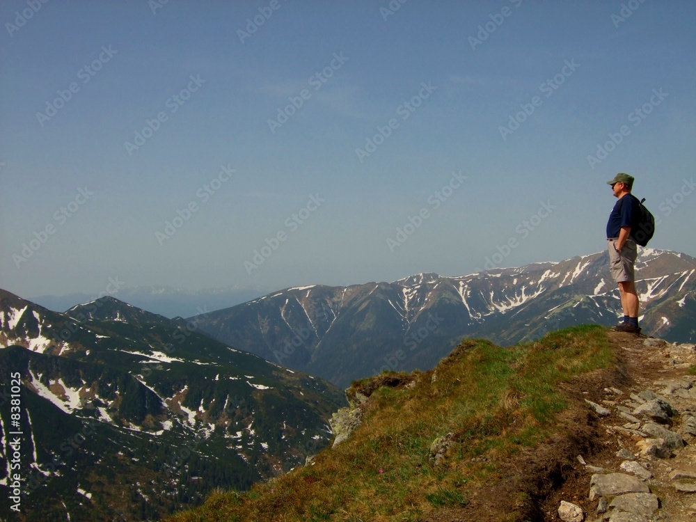 Man Gazing Over Polish Tetra Mountains