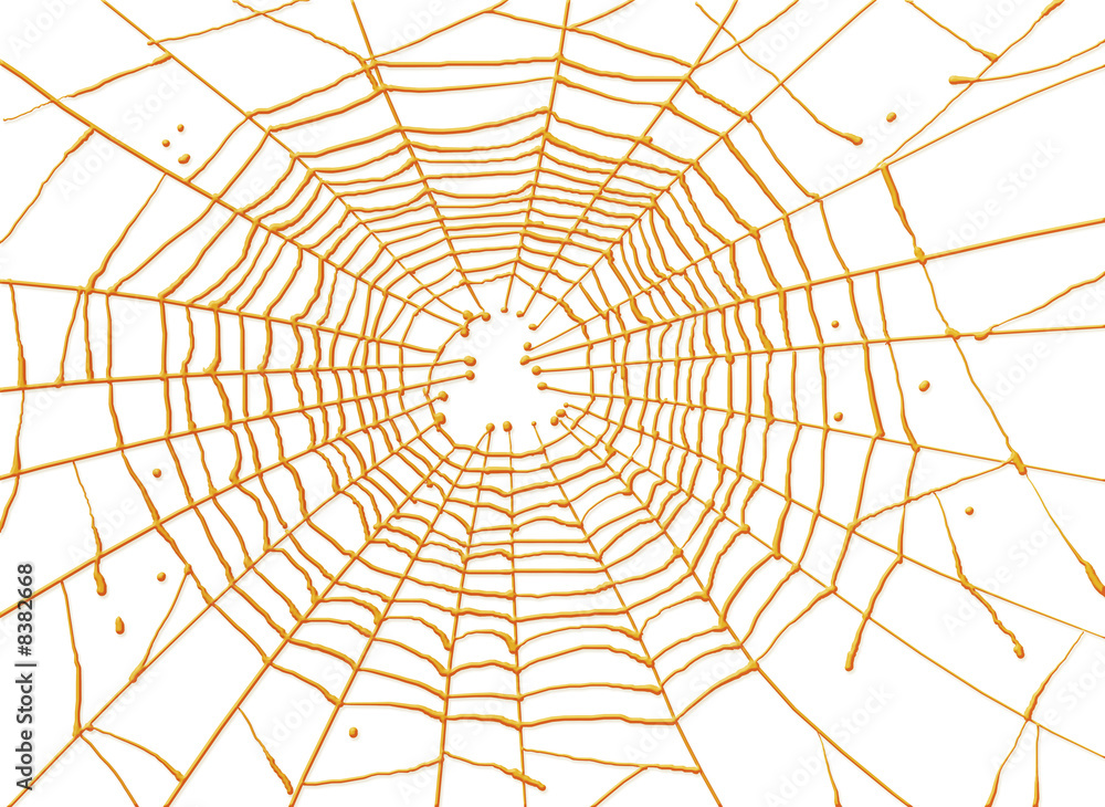 Obraz premium toile d'araignée