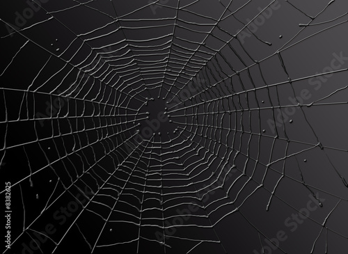 toile d'araignée © NLshop