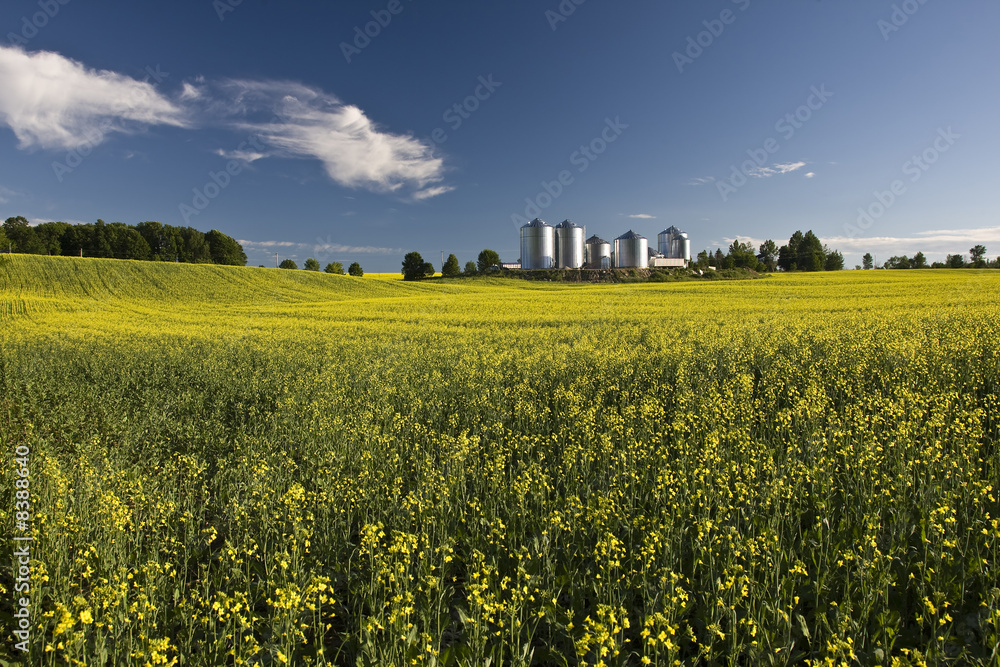 Biofuel