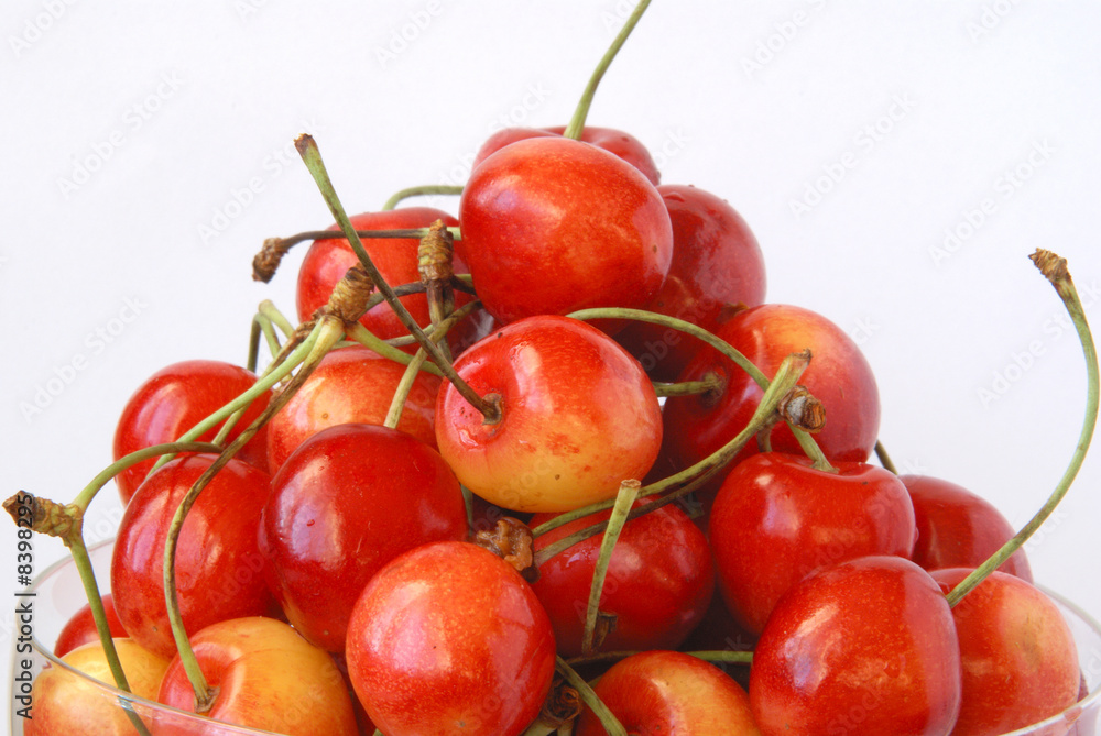 cherry cherry