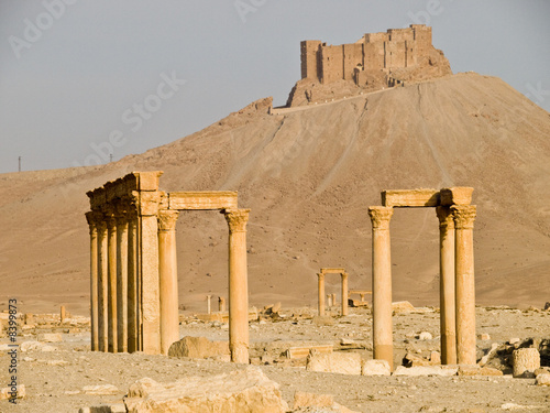 Palmyra photo