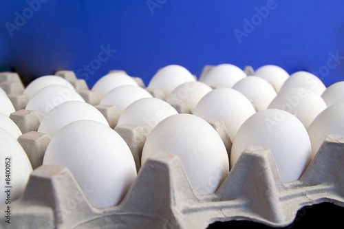 eggs