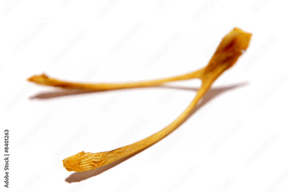 Wishbone isolated on white background Wishbone isolated on white background