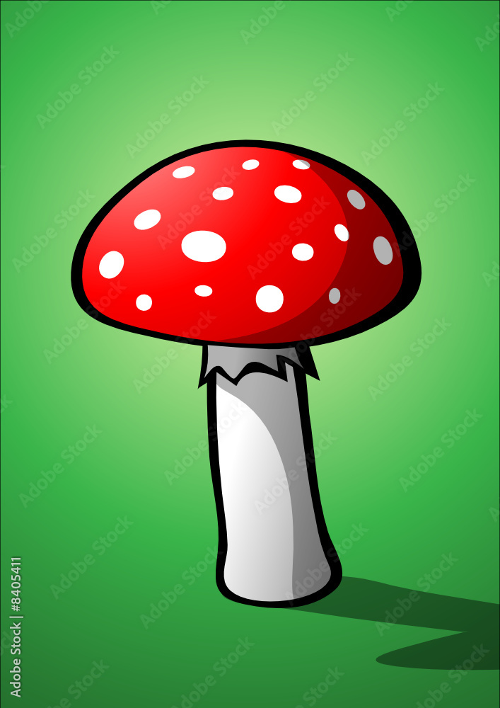 Fliegenpilz Fliegenpilz