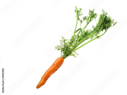 Tablou pe pânză Carrot