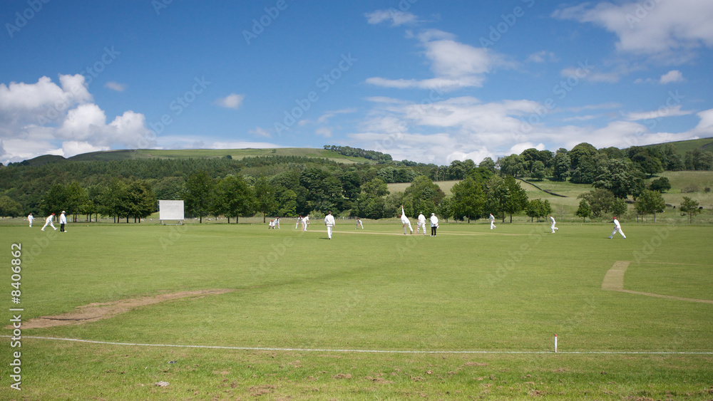 Cricket at Bolton Abbey