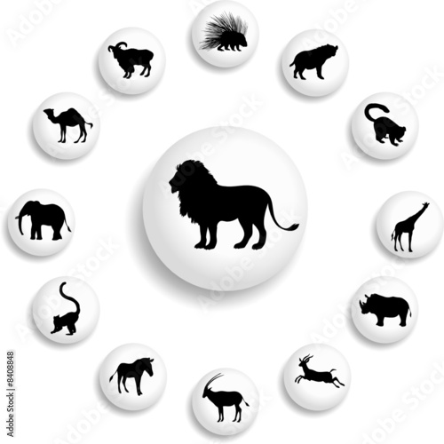 Set buttons. Animals