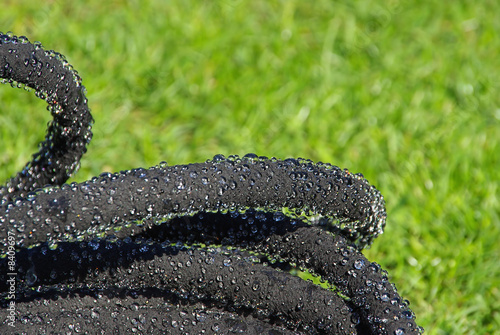 Perlschlauch - watering hose 02 photo