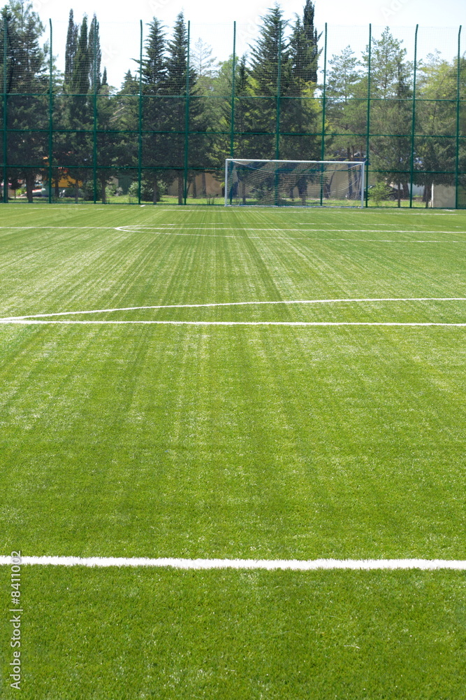 Fototapeta premium grass field for soccer, european football field for training