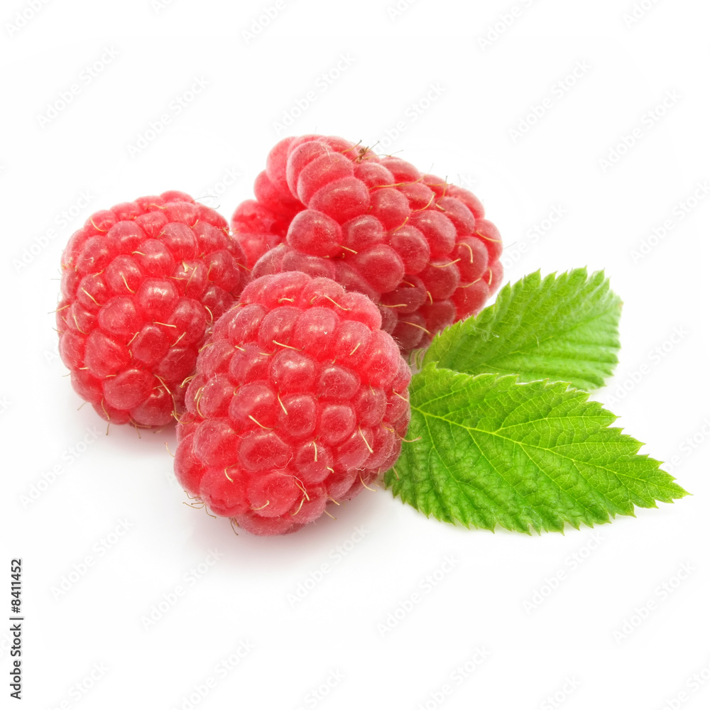 red raspberry fruits isolated red raspberry fruits isolated