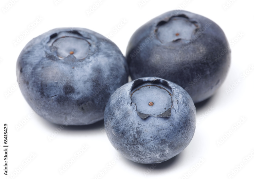 Blueberry Macro Blueberry Macro