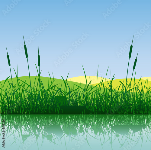 Grass with Water
