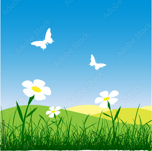 Meadow Landscape