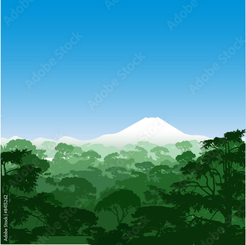 Forest Landscape with Volcano