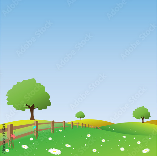 Meadow Landscape