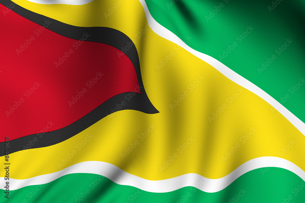 Rendered Guyanese Flag Rendered Guyanese Flag