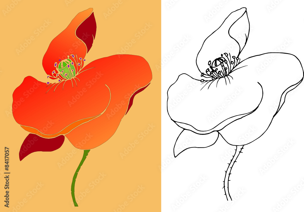 Vektor Illustration Mohnblume coloriert Kontur oder Silhouette Stock