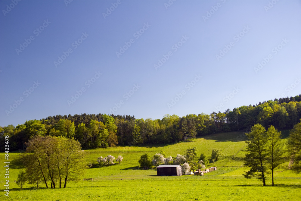 Fototapeta premium Landschaft im Orlatal