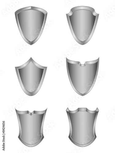 Silver shield set