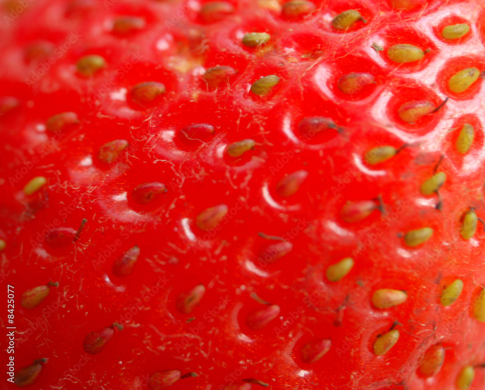 macro of strawberry macro of strawberry