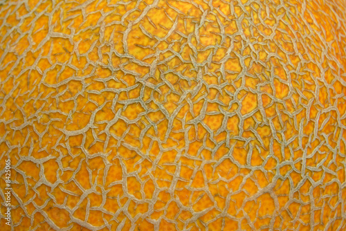 melon surface