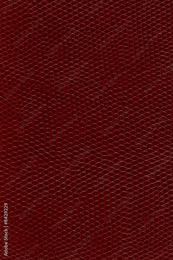 Snake leather Snake leather