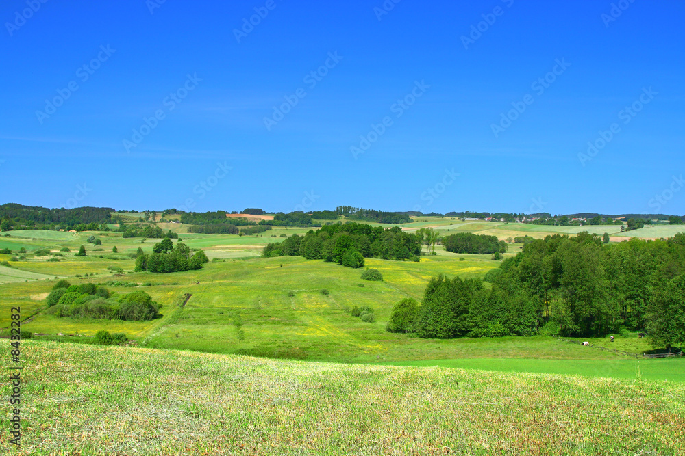 summer landscape with cloudless sky