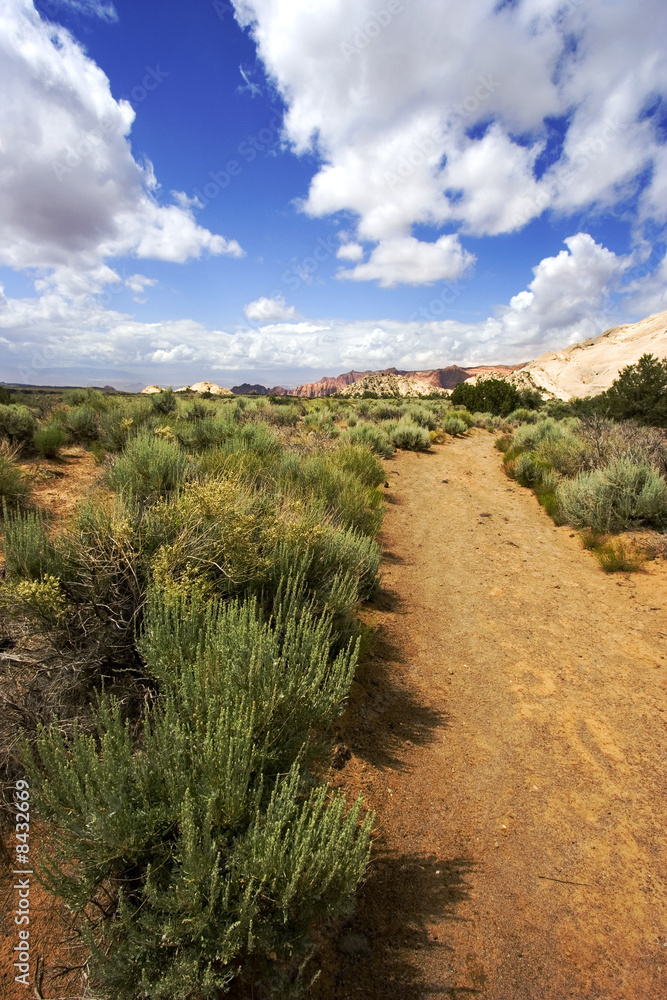 Path to the Redrock Mountains in Snow Canyon - Utah