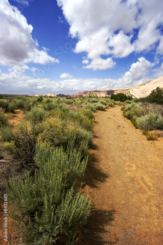 Path to the Redrock Mountains in Snow Canyon - Utah