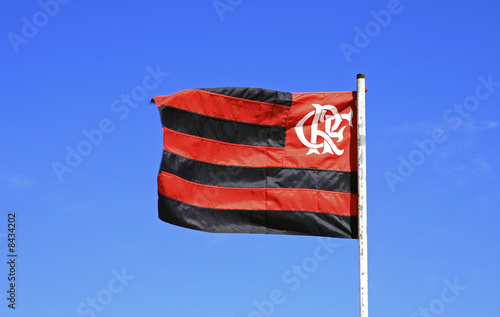 Flamengo Flag photo