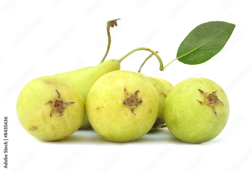 Pears yellow with leaf