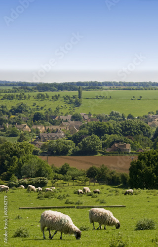 cotswolds photo