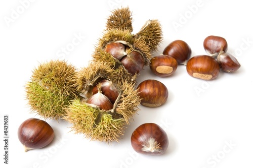 Chestnuts