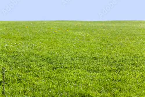 Green field and blue sky photo