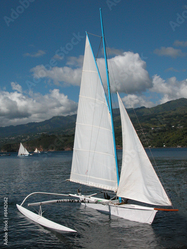 pirogue polynésienne