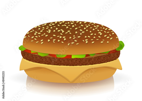 Hamburger (reflet)