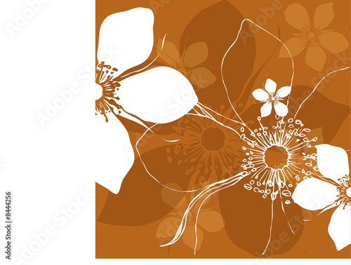 Vektor Blüten Design mit weißen Blumen auf braun