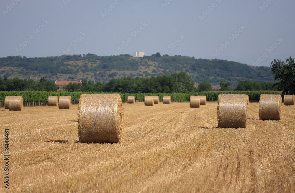 balle di fieno