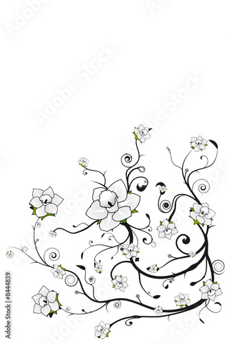 Beautiful floral grunge background