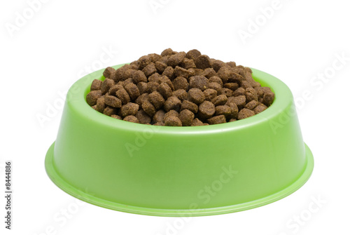 Pet Food Bowl Isolated White on Background
