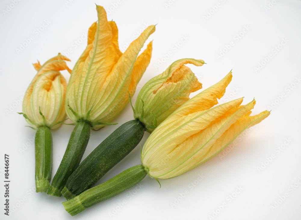 fleurs de courgettes fleurs de courgettes